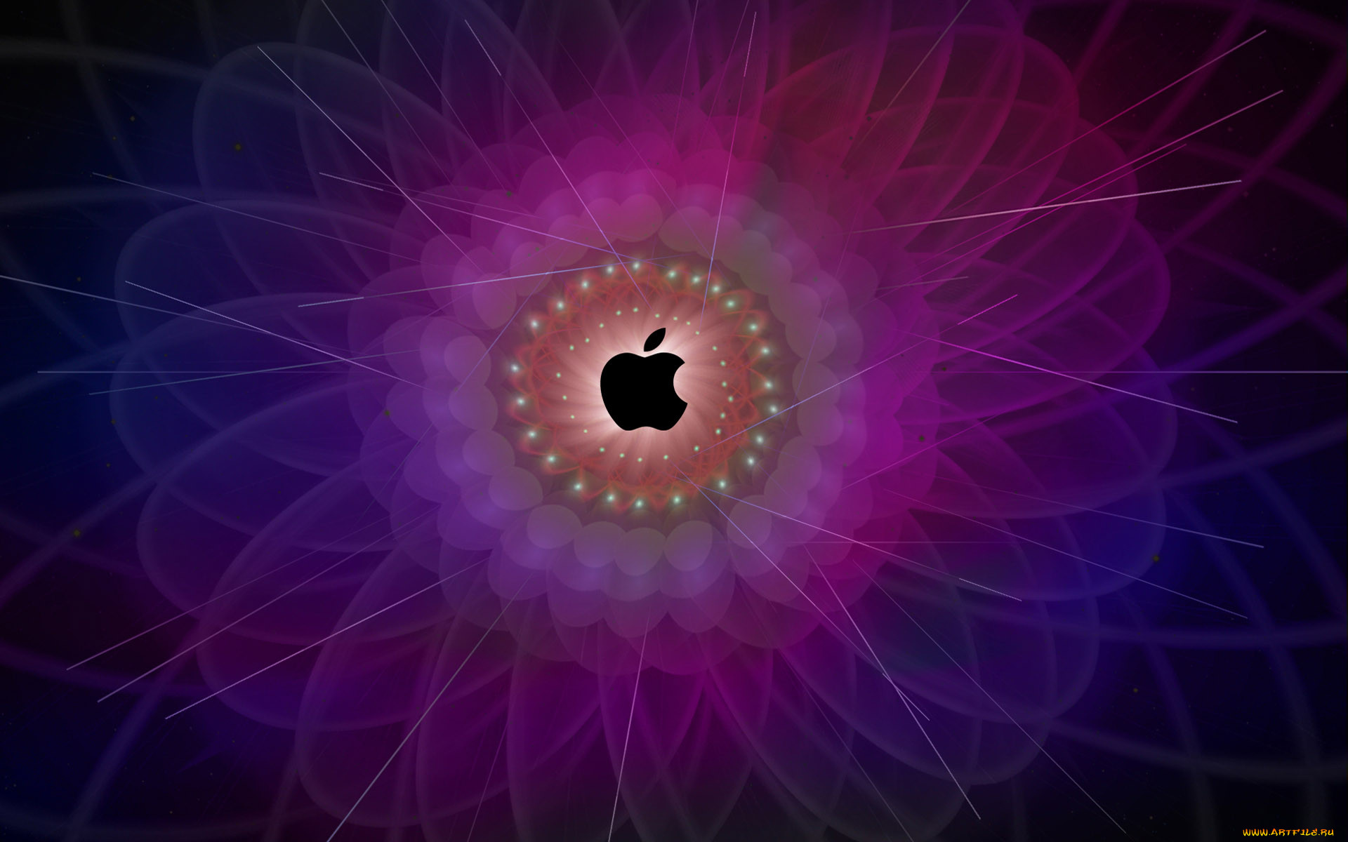 , apple